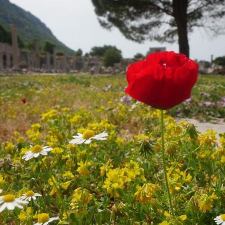 Nilya Hotel Σελτσούκ Εξωτερικό φωτογραφία