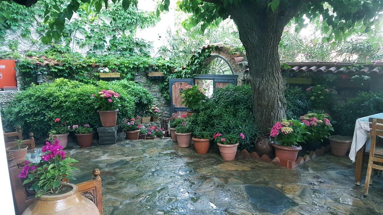 Nilya Hotel Σελτσούκ Εξωτερικό φωτογραφία