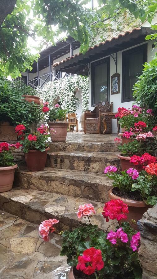 Nilya Hotel Σελτσούκ Εξωτερικό φωτογραφία